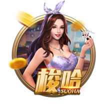 ayx入口手机版